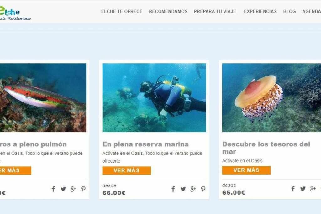 Apartamentos Full Equipped Elche Eksteriør bilde